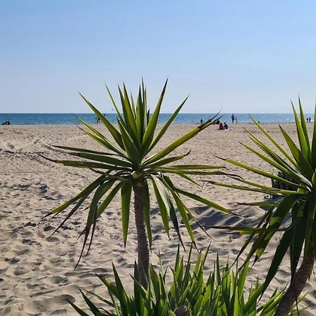 Joli T2 avec jardin plage Richelieu - 6 personnes Agde Extérieur photo